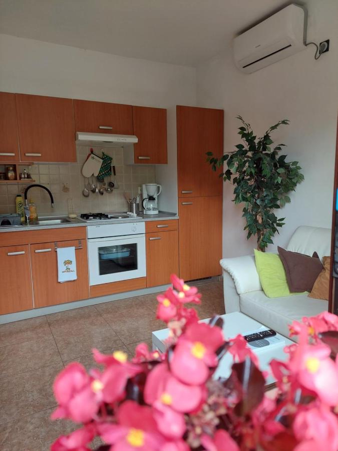 Apartman Gina Labin  Extérieur photo